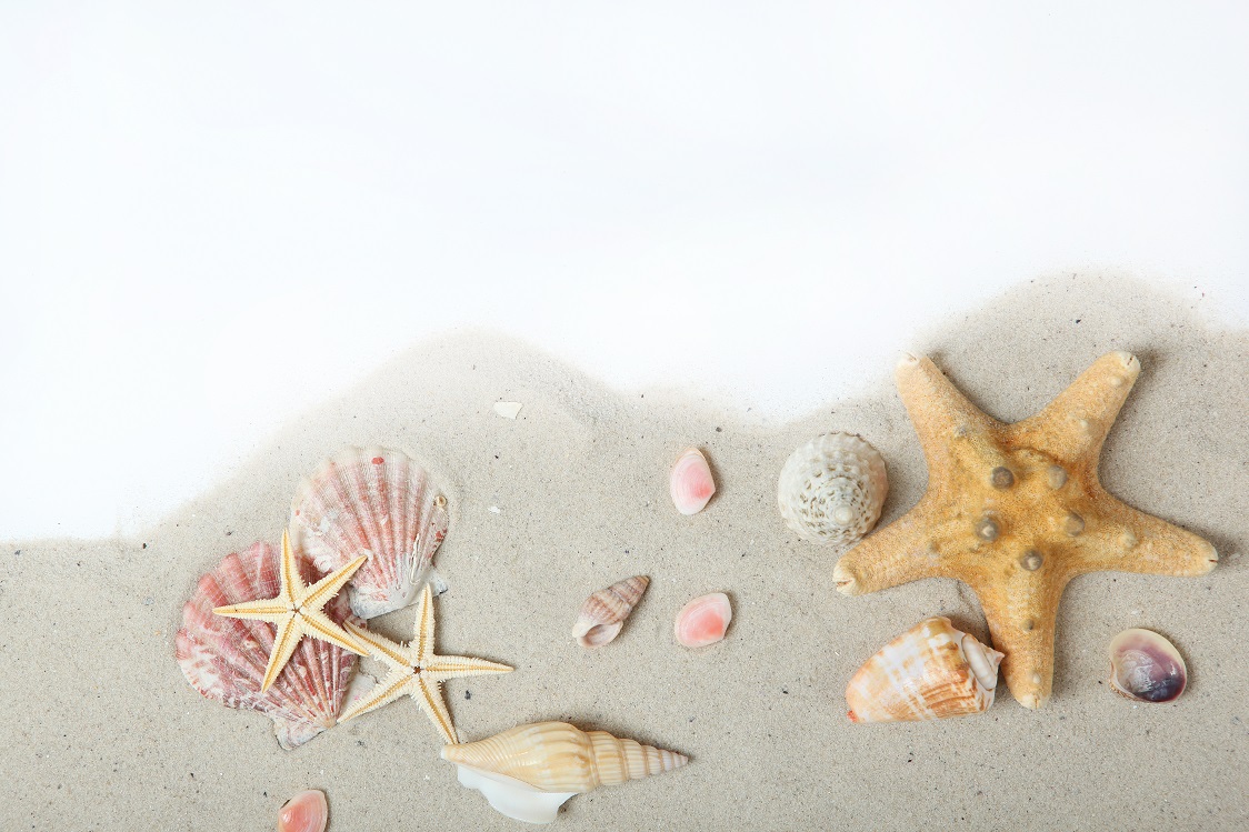 Картина середня. Тип корали 50х50 см